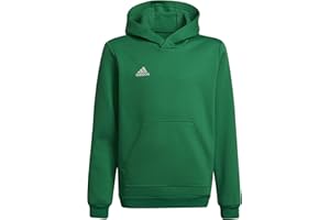 adidas Entrada 22 Sweat Hoodie Felpa con Cappuccio Unisex - Bambini e Ragazzi (Pacco da 1)
