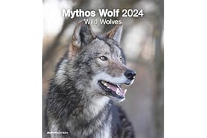 ‎ALPHA EDITION Mythos Wolf 2024 - Foto-Kalender - Wand-Kalender - 30x34: Wild Wolves