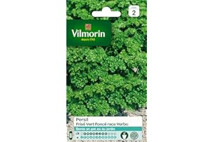 Vilmorin 3805042 Pack de Graines Persil Frise Race Verbo Sélection