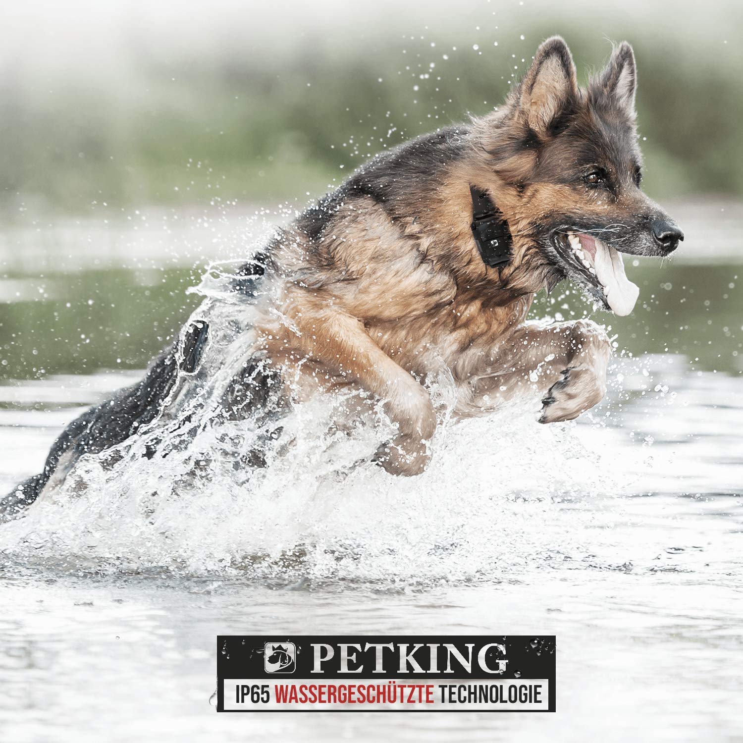 PetKing Premium Dog Training Collar with Remote for Small Large Dogs