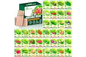BonPrime Kit de 36 Graine de Legumes, Graines Pour Potager, Plantes, Graines et Bulbes, Kit Jardinage Femme, Cadeau Jardinage, Tomates, Plant Legume, Kit de Plantation de Légumes Pour, Débutants