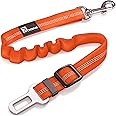 Classic seat belt-orange-1pack