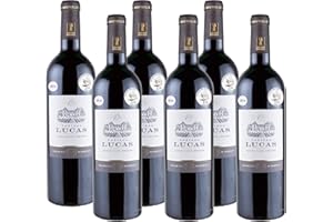 Château Lucas, AOC Lussac Saint-Emilion 2016-Grand Vin Rouge de Bordeaux- Médaille d'Or Vignerons Indépendants -75 cl - Lot de 6