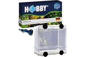HOBBY Aquaristik Nido 3.1 I 16 x 16 x 14 cm I Netz-Ablaichbehälter zum Separieren von trächtigen Fischen und zur Aufzucht von Jungfischen I Fisch Ablaichkasten für Aquarien I Aquarium Zubehör