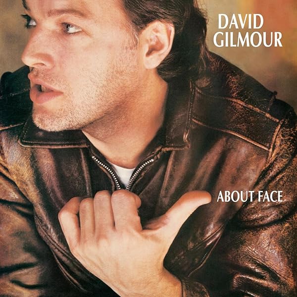 David Gilmour: Amazon.co.uk: CDs & Vinyl