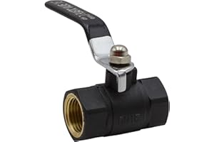 Riegolux 822847 Valve Anti-Gel Nylon 3/4 Levier