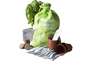 Scott&Co. Herbs Seed Kit, 10 Different Herb Seed Varieties to Grow Your Own, Basil, Coriander, Chives and More. Seeds, Pots, Plant Labels and Compost, Christmas Gifts for Women and Men.