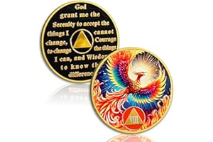 ATSKNSK Phoenix of Light 8 Year Sobriety Coin, Rebirth in Fire AA Coin - Addiction Recovery Eignt Year Sober Medal with Token Capsule, Alcoholics Anonymous Sobriety Gifts for Men and Women