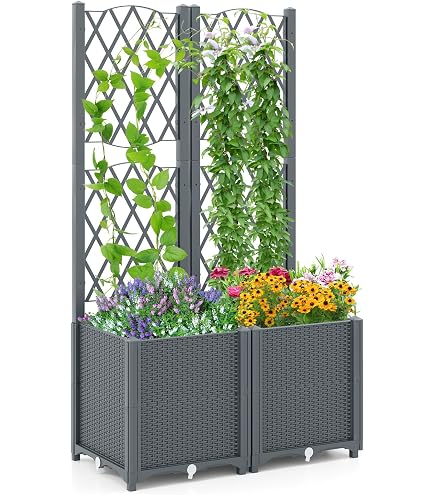 SchwibboLa Pflanzkasten Massiv inkl. Rankgitter 140cm Hhe verschieden  Gren unbehandelt Fichte (80x40x33cm inkl. Gitter 140cm): Amazon.de: Garten