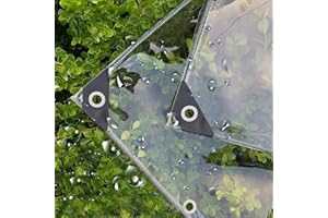 Hujabay wasserdichte Transparente PE Plane mit Ösen | Wetterfest Faltbar, Regenschutz für Gartenmöbel, Pflanzen und Gewächshäuser Geeignet für Camping, Balkon, Abdeckplane Wasserdicht 2x4m