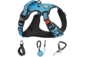 NESTROAD Hundegeschirr Kleine Hunde Blau, Anti Zug Geschirr Gepolstert Brustgeschirr für Kleine Hunde, Größe S Halsumfang 28~38CM Brustumfang 38~53CM, Reflexstreifen Brustgeschirr Hund
