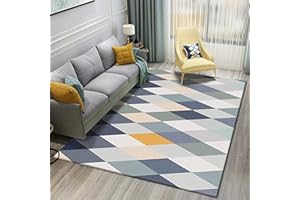 HAOYE Alfombras Hechas 100x200cm, Duradero Lavable, Alfombras Habitacion, para Dormitorio Pasillo y Habitación Infantil