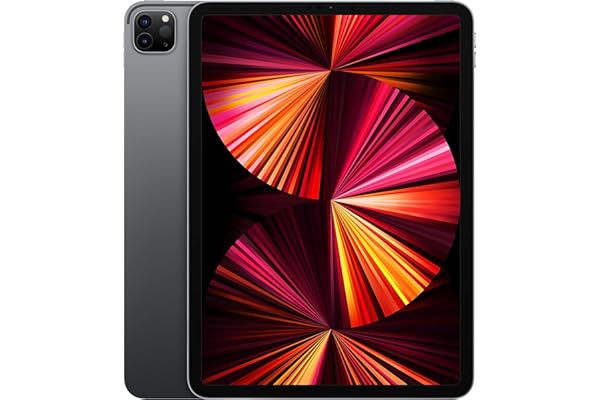 2021 Apple iPad Pro (11-pouces, Wi-Fi, 256 Go) Gris Sidéral (Reconditionné)