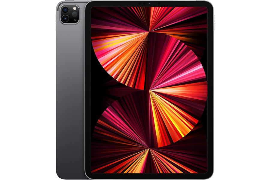 Apple 2021 iPad Pro (11-Zoll, Wi-Fi, 256GB) - Space Grau (Generalüberholt)