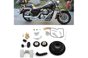 TEFOLA Kit de Reparación de Carburador, Reparación carburador, Kit de Reconstrucción de Carburador de Motocicleta, Piezas de Reparación Para Kawasaki Vulcan Vn800/vn400