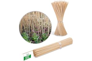 Novatool 100 varillas de 90 cm x 7 mm, color natural, para tutores de tomates, varillas de bambú para orquídeas