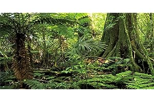 MIRRORANG 120x61cm Foresta Terrario Sfondo Pietra Verde Enorme Albero Rettile Habitat Sfondo Foresta pluviale Tropicale Acquario Sfondo Vinile