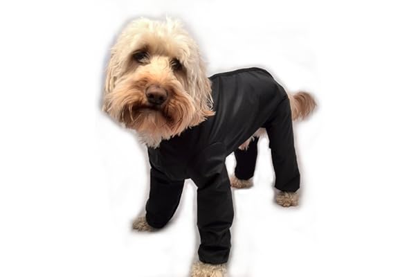 dog rain jackets uk