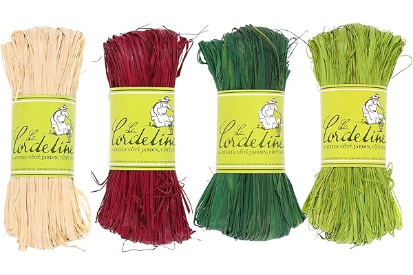 Lot 4 Raphia Naturel Coloris Assortis Naturel,Vert Menthe, Vert Pomme et Rouge Framboise