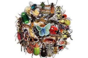 Mistree 50 3D Naklejki Na Zdjęcia Owadów Dla Dzieci, Zabaw Się Z Przyjaciółmi, Wodoodporne