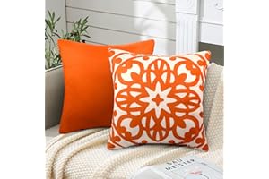 ETOLISHOP Juego de 2 Funda de Cojines Sofá Fundas de Cojines 45x45cm Funda de Almohada Naranja Fundas para Cojines Modernas Funda Cojin para Sofá Sala de Estar Jardín Patio Casa Dormitorio Decor 18x18Inch