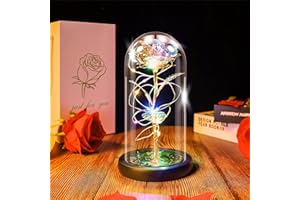 Ptesuply Beauty and The Beast Rose Lamp In the Glass Dome, Eternal Rose Artificial Flower with LED Light, Gift for Women Girl for Birthday Valentine's Day Mother's Day Christmas Anniversary