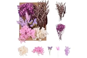 Bezavea Natural Dried Flowers, Dried Pressed Flowers Leaves, Mixed Artificial Everlasting Flowers, Dried Flowers Set for DIY Candle Resin Jewelry Crafts, Floral Decorations(Purple)