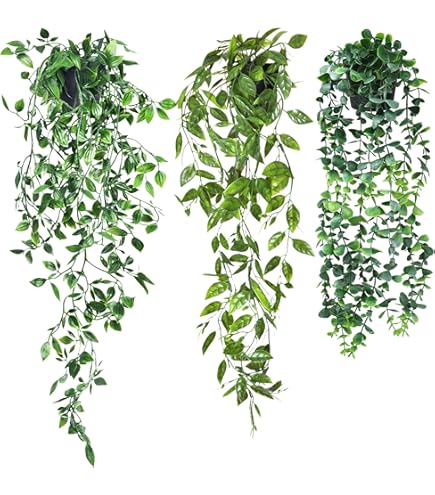 berberis plant SUNJOY ORANGE PILLAR Barberry main image 0