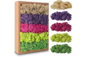 AVAGIAFORU Islandmoos, Moos in 5 versch 200g für Moosbilder, Konserviertes Moos, Moos zum Basteln, Moos Deko, Künstliches Moos, Moos Konserviert, Deko Moos, Bastelmoos, Kunstmoos für Basteln (A)