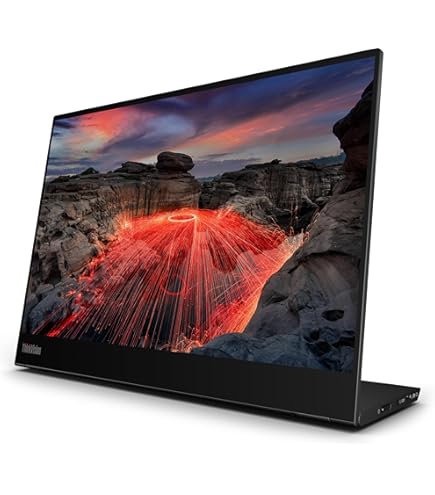 Lenovo ThinkVision M14d 14