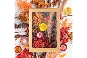 ‎LAUMOE LAUMOE Getrocknete Blumen, Trockenblumen, Trockenblumen Zum Basteln Mini Trockenblumen Bunt Trockenblumen Set für Tischdeko DIY Epoxidharz Scrapbook Zubehör