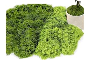 Sztqqing Muschio Artificiale da Decorare 160g - Verde Scuro 80g e Verde Chiaro 80g per Parete, Presepe, Acquario e Modellismo