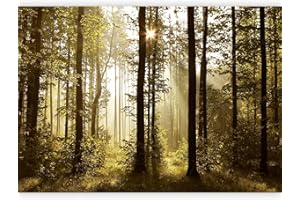 murando - Carta da Parati Adesiva Foresta 392x280 cm Fotomurali Adesivi Murali Rivestimento Parete Moderna per Pareti Adesiva Muro Decorativo Fotomurale Paesaggio Natura Bosco Foresta Fiori