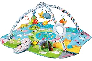 Meero London CH91615B Baby Play Mat, New Born to Toddler Ball Pit, 5 in 1 Activity Gym.5 Toys Plus Mirror and Pillow,Musical Book, Suitable from Birth