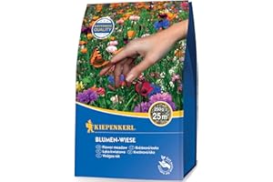 Kiepenkerl Blumen-Wiese 0,25 kg - Artenreiche Blumen-Wiesen Samen, Pflegeleichte Wildblumenwiese für Garten & Rasen, Profi-Line Rasensamen