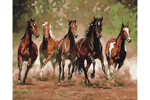 Artnapi Dipingere con i numeri, adulti con cornice, dipinta a mano, animali, cavalli da corsa, kit per principianti e adulti, set con colori acrilici e pennelli, tela da 40 x 50 cm, ideale come regalo