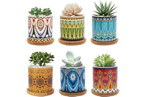 FORAGIFT 7.5CM Succulent Plant Pot, Ceramic Mandala Pattern Cactus Plants Pot, Small Plant Pots for Indoor Outdoor Plants with Bamboo Tray, and Great for Home Office Decor, Set of 6
