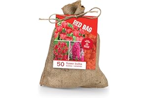 Bloomique - Mix de 50 - Le Sac Rouge - Mix Rouge - Tulipes, Jacinthes, Ixia - Bulbes à fleurs - Floraison printanière - Plantes vivaces