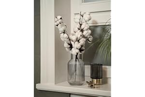 NINA-MARIA'S DEKO GOLD Rama de algodón Real – 1 Tallo con 10 Cabezas | Decoración en algodón seco Blanco para jarrones, Ramos de Flores secas y Bodas