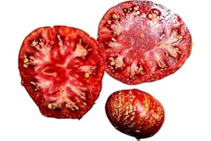 SAMENCHILISHOP Tomate -Feuerwerk- 10 Samen