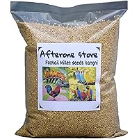 Afterone Store kangni Bird Food Foxtail Millet Seeds for Birds 1 KG