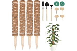 4 bastoncini di muschio da 40 cm, in cocco FINEW, con 4 cartelli per piante e attrezzi, per piante rampicanti, piante da appartamento