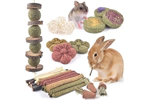 ERKOON Kaninchen Spielzeug, 42 Stück Timothy Heu Sticks Karotten Rosengraskuchen Zahnpflege Molar, Chinchillas Spielzeug Kauspielzeug für Kaninchen, Meerschweinchen, Hamster, Chinchilla (Mehrfarbig)