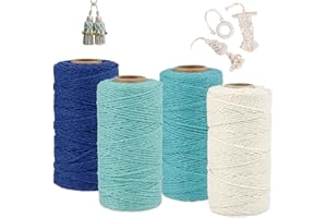 RYAN 4 Pièces Corde Macramé 2mm x 100m Coton Naturel Corde Fil Macramé de Long de Fil Macramé Couleur pour Bricolage Macramé Décoration Suspension de Plantes Tricot (4 Couleurs)