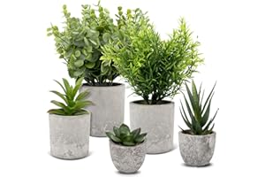 TOSAVGA 5 Stück Kunstpflanzen wie Echt, Künstliche Pflanzen Klein, Dekopflanzen, Kunst Pflanzen Künstlich Sukkulenten, Fake Plant, Plastikpflanzen, Schlangenzunge, Eagle Claw Aloe, Eukalyptus für Schlafzimmer