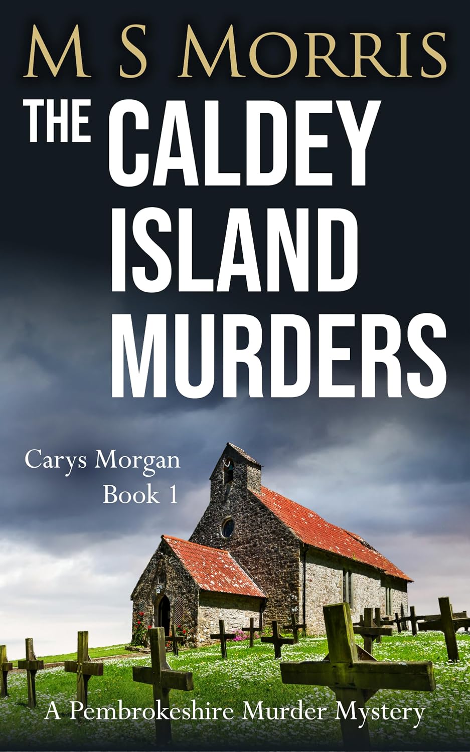 The House of Silent Bones: A Pembrokeshire Murder Mystery (Carys Morgan Book 2) - Détails et caractéristiques