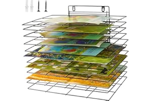 Lzttyee Kunst-Trockenständer für Klassenzimmer, Farbtrockengestell, kleines Kunsttrockengestell, Wandkunst-Aufbewahrungsregal mit 12 abnehmbaren Ablagen für Klassenzimmer und Kunststudios (12 Regale)