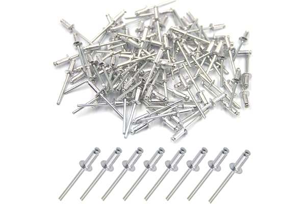 BESTYCHAO 100 pièces de rivets aveugles en aluminium 4 x 10mm, rivets à bout ouvert, rivets pop, paquet de 100 (Argent)
