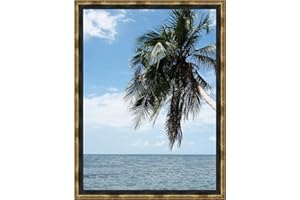 RK CADRES Caisse américaine pour Une Toile 60x80 / 80 x 60 Cadres Caisse Americaine Noir Or, 4 cm de Largeur, Cadre en Bois