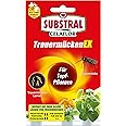 Substral Celaflor Fungus Gnats EX - Against Larvae of the Fungus Gnats and Other Pests and Insect Insects, 4 x 7.5 ml, Green